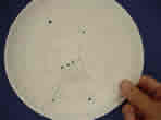 Orion paper plate